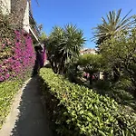 Le Rose Di Emma